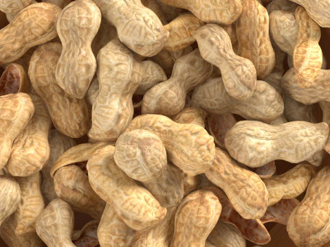 Tigela inteira de amendoim Modelo 3D