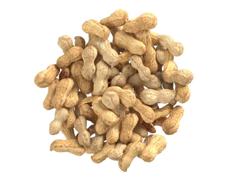 Tigela inteira de amendoim Modelo 3D