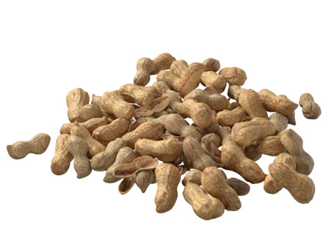 Peanut whole pile 3D मॉडल
