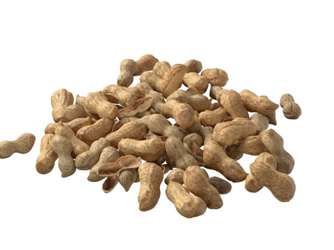 Pilha inteira de amendoim Modelo 3D