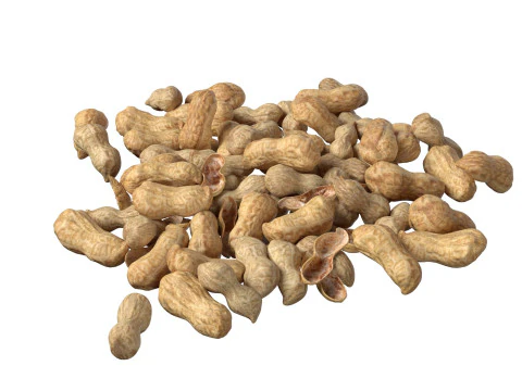 Pilha inteira de amendoim Modelo 3D