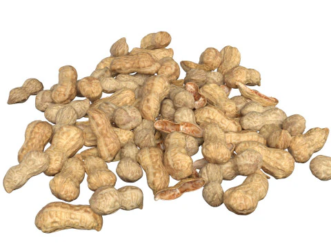 Pilha inteira de amendoim Modelo 3D