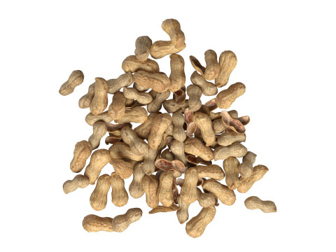 Peanut whole pile 3D 模型