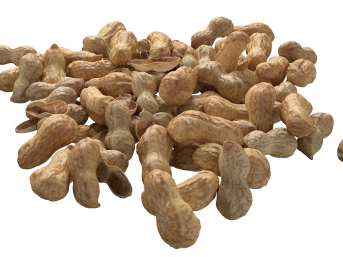 Peanut whole pile 3D 模型