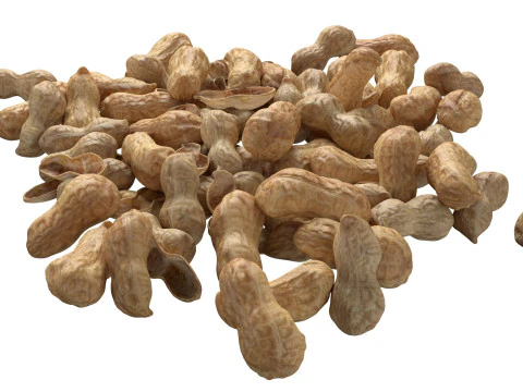 Pilha inteira de amendoim Modelo 3D