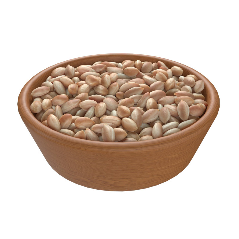 Pranut kernel white bowl 3D 모델 .c4d .max .obj .3ds .fbx .stl .blend