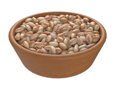 Pranut kernel white bowl 3D मॉडल
