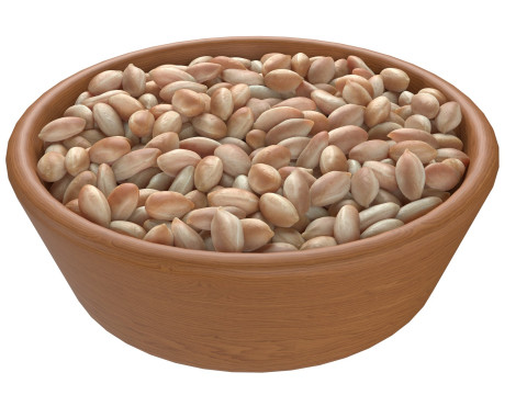 Pranut kernel white bowl 3D 모델