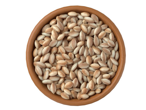 Pranut kernel white bowl 3D 모델
