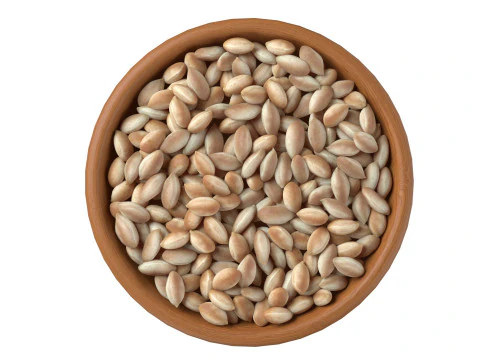 Tigela branca de caro&ccedil;o de amendoim Modelo 3D