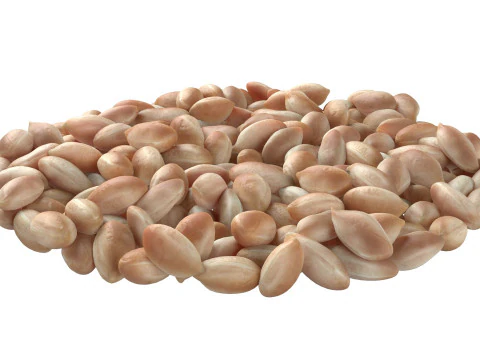 Tigela branca de caro&ccedil;o de amendoim Modelo 3D