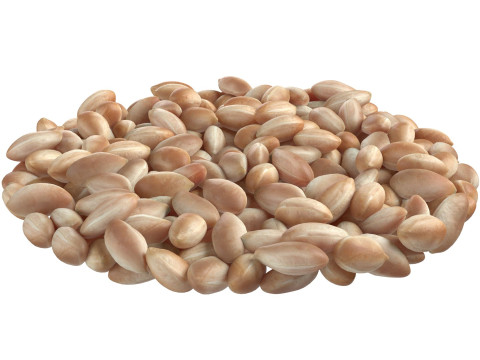Pranut kernel white bowl 3D 모델