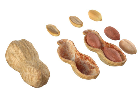 Peanut collection 3D Модель