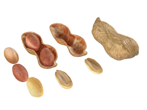 Peanut collection 3D Модель