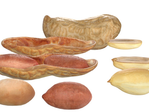 Peanut collection 3D Модель