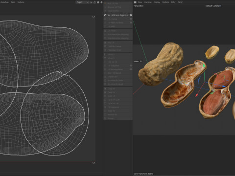 Peanut collection 3D Модель
