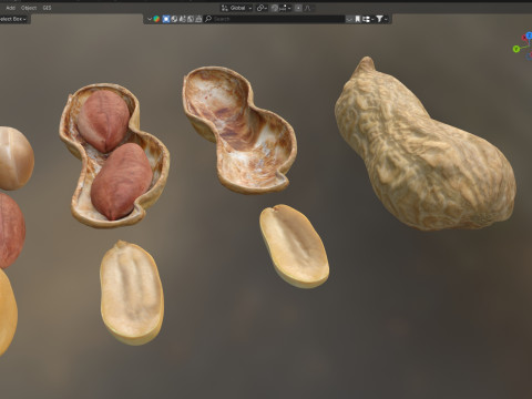 Peanut collection 3D Модель