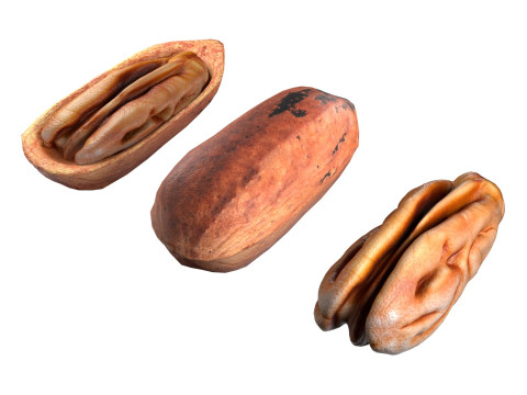 Pecan nut Modelo 3D