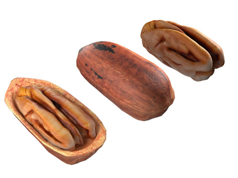 Pecan nut Modelo 3D