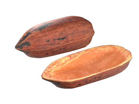Pecan nut Modelo 3D