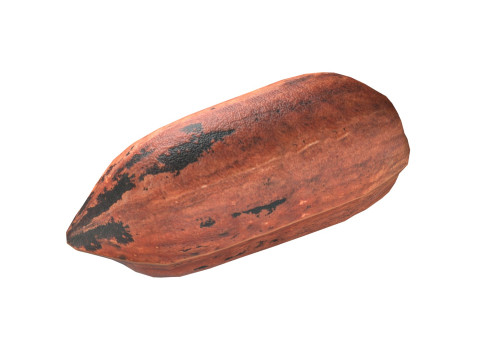 Pecan nut Modelo 3D