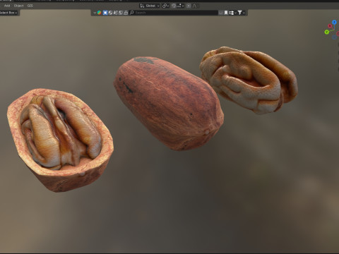 Pecan nut Modelo 3D