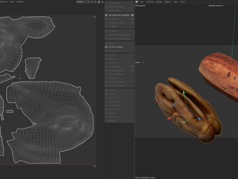 Pecan nut Modelo 3D