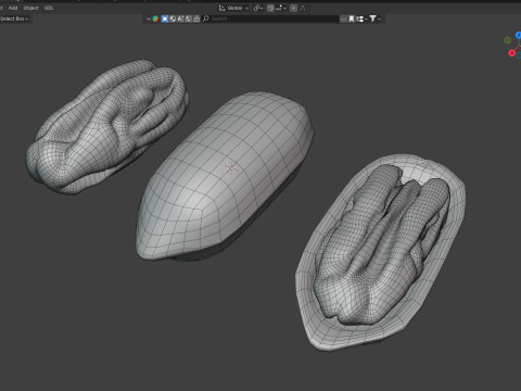 Pecan nut Modelo 3D