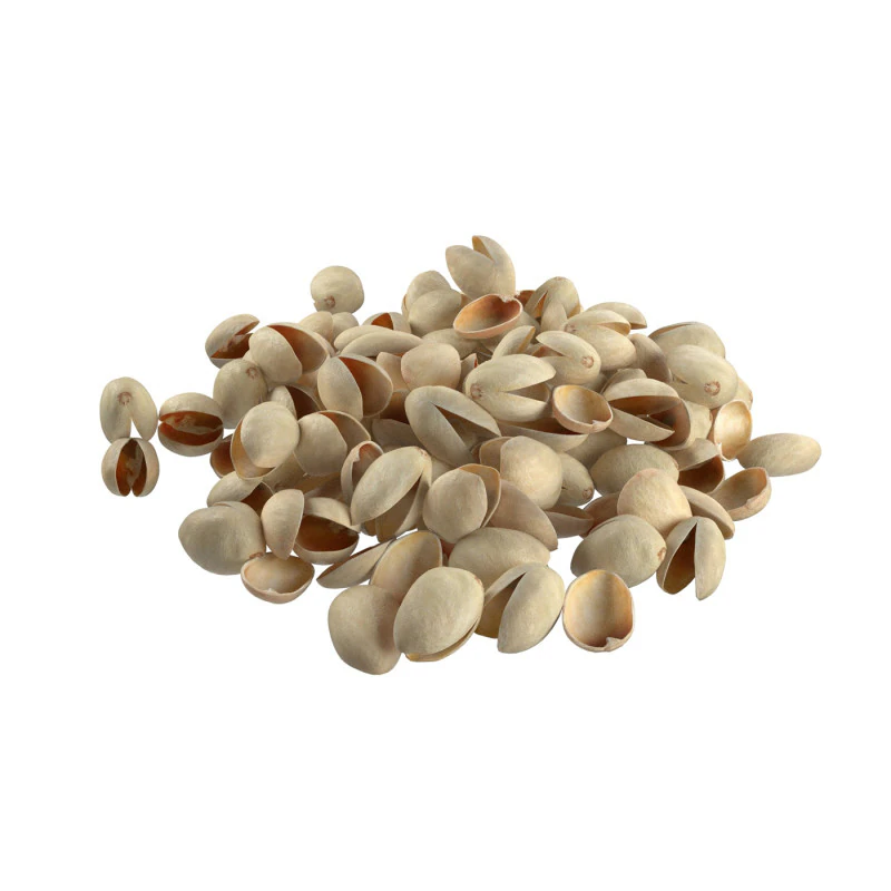 Pistachio Shell Pile 3D Model .c4d .max .obj .3ds .fbx .stl .blend 