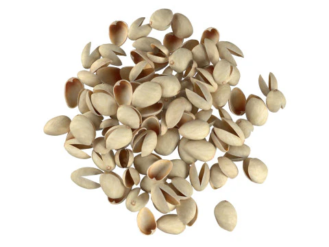Pistachio Shell Pile 3D Model