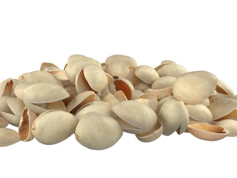 Pistachio Shell Pile 3D Model