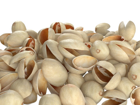 Pistachio Shell Pile Modelo 3D
