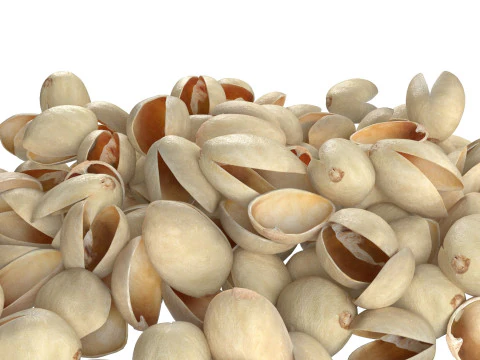 Pistachio Shell Pile 3D Model