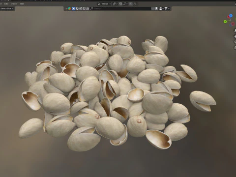 Pistachio Shell Pile 3D Model