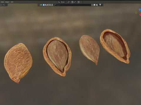 Plum Seed 3D-Modell