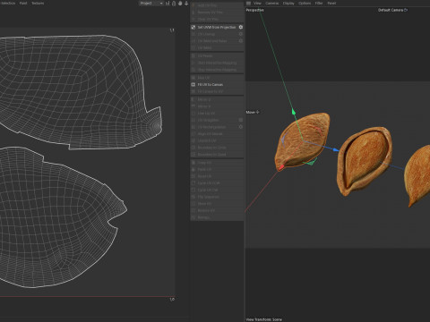 Plum Seed 3D-Modell