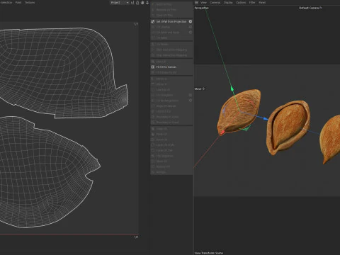 Pruimenzaad 3D Model