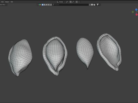 Plum Seed 3D-Modell