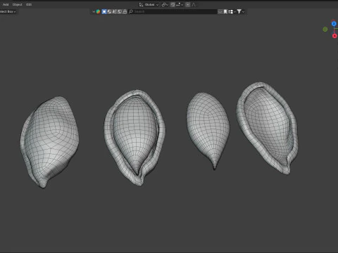 Pruimenzaad 3D Model