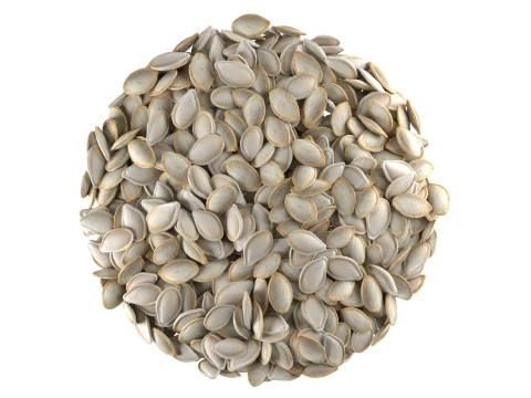 Pumpkin seed bowl 3D Model