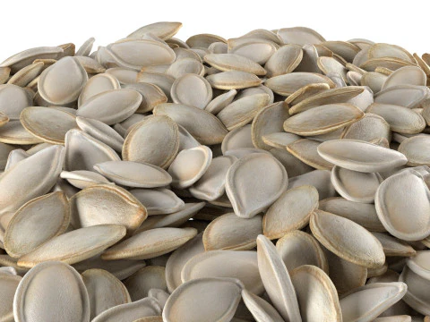 Pumpkin seed bowl 3D Model