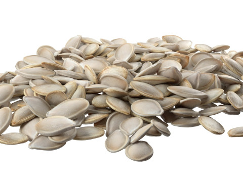 Pumpkin seed pile Modelo 3D