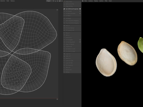 Pumpkin seeds set 3D 模型