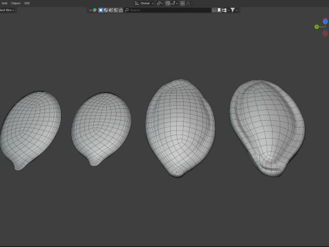 Pumpkin seeds set 3D 模型