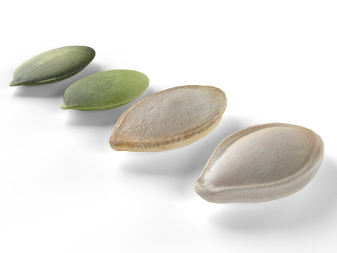 Pumpkin seeds set 3D 模型