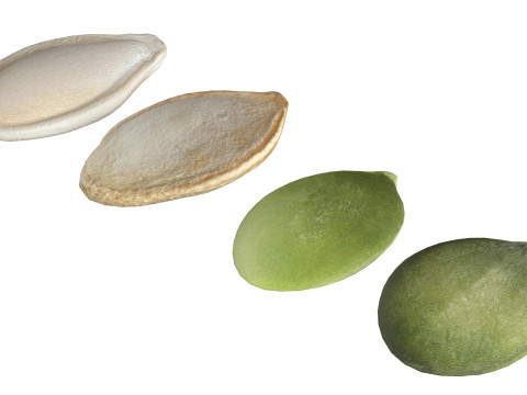 Pumpkin seeds set 3D 模型