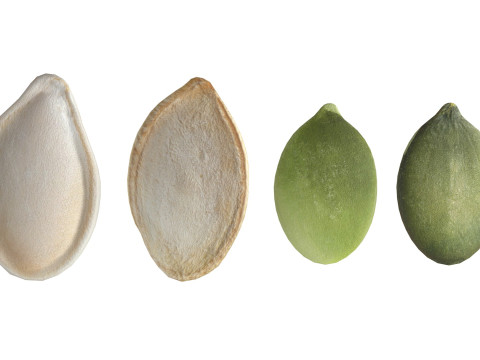 Pumpkin seeds set 3D 模型