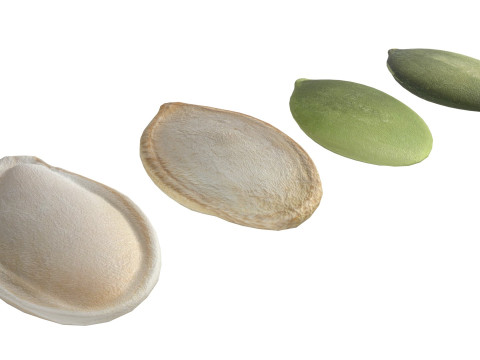 Pumpkin seeds set 3D 模型