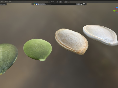 Pumpkin seeds set 3D 模型