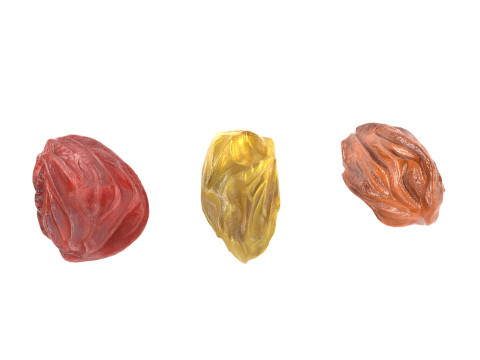 Raisins 3D Model